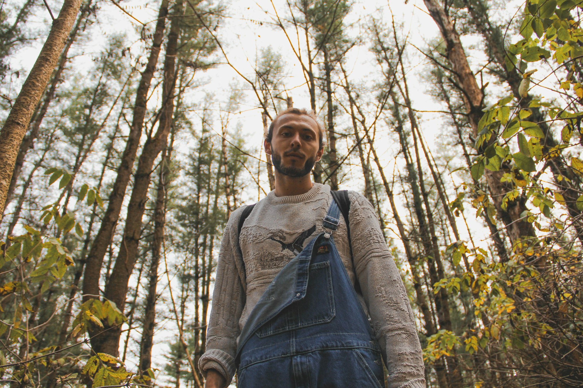 Bohdan in a spruce forest